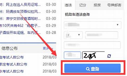怎么查车辆违章记录查询_怎么查车辆违章记录查询系统