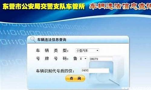 保定违章查询车辆违章查询_保定违章查询车辆违章查询官网